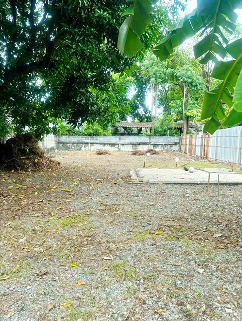 ประกาศฟรี! ซื้อ-ขาย-เช่า คอนโด บ้าน ทาวน์โฮม ที่ดิน และพื้นที่เชิงพาณิชย์ทั่วประเทศไทย ทุกทำเล ทุกงบประมาณ ไม่มีค่าใช้จ่าย ลงง่าย ขายไว เข้าถึงผู้ซื้อโดยตรง 4 262154pic3.jpg