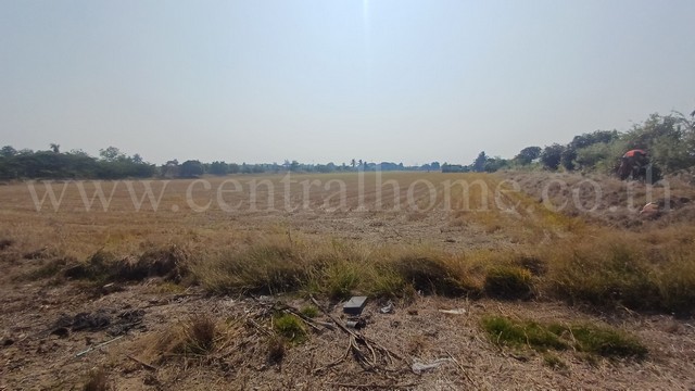 ประกาศฟรี! ซื้อ-ขาย-เช่า คอนโด บ้าน ทาวน์โฮม ที่ดิน และพื้นที่เชิงพาณิชย์ทั่วประเทศไทย ทุกทำเล ทุกงบประมาณ ไม่มีค่าใช้จ่าย ลงง่าย ขายไว เข้าถึงผู้ซื้อโดยตรง 3 294596pic2.jpg