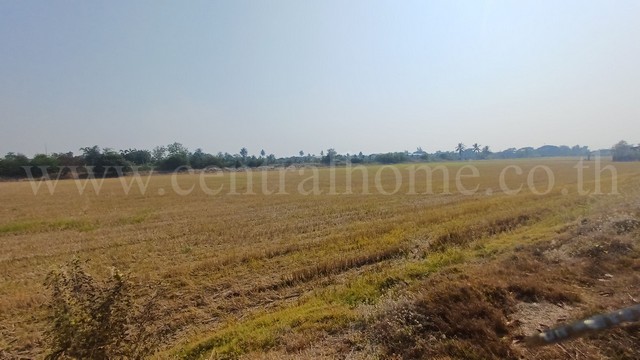 ประกาศฟรี! ซื้อ-ขาย-เช่า คอนโด บ้าน ทาวน์โฮม ที่ดิน และพื้นที่เชิงพาณิชย์ทั่วประเทศไทย ทุกทำเล ทุกงบประมาณ ไม่มีค่าใช้จ่าย ลงง่าย ขายไว เข้าถึงผู้ซื้อโดยตรง 4 294596pic3.jpg