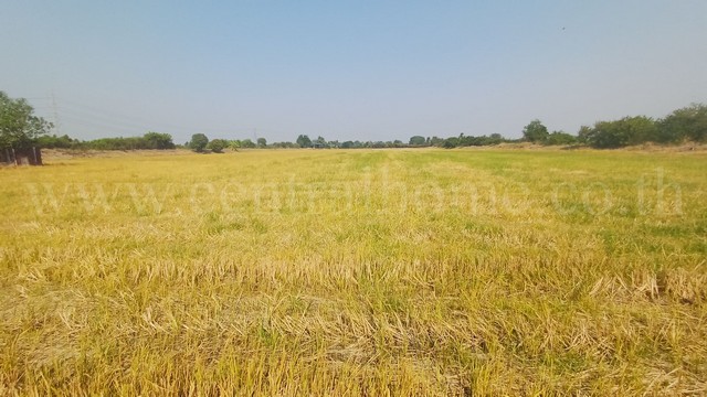 ประกาศฟรี! ซื้อ-ขาย-เช่า คอนโด บ้าน ทาวน์โฮม ที่ดิน และพื้นที่เชิงพาณิชย์ทั่วประเทศไทย ทุกทำเล ทุกงบประมาณ ไม่มีค่าใช้จ่าย ลงง่าย ขายไว เข้าถึงผู้ซื้อโดยตรง 5 294596pic4.jpg