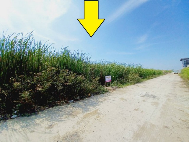 ประกาศฟรี! ซื้อ-ขาย-เช่า คอนโด บ้าน ทาวน์โฮม ที่ดิน และพื้นที่เชิงพาณิชย์ทั่วประเทศไทย ทุกทำเล ทุกงบประมาณ ไม่มีค่าใช้จ่าย ลงง่าย ขายไว เข้าถึงผู้ซื้อโดยตรง 2 508411pic1.jpg