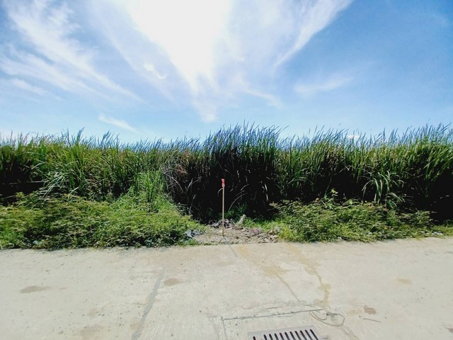 ประกาศฟรี! ซื้อ-ขาย-เช่า คอนโด บ้าน ทาวน์โฮม ที่ดิน และพื้นที่เชิงพาณิชย์ทั่วประเทศไทย ทุกทำเล ทุกงบประมาณ ไม่มีค่าใช้จ่าย ลงง่าย ขายไว เข้าถึงผู้ซื้อโดยตรง 3 508411pic2.jpg