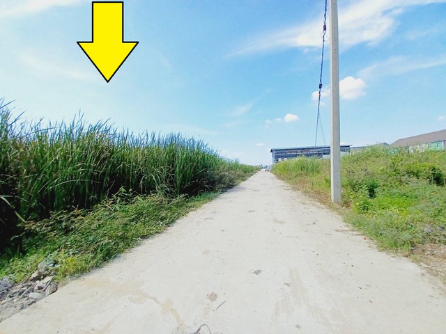 ประกาศฟรี! ซื้อ-ขาย-เช่า คอนโด บ้าน ทาวน์โฮม ที่ดิน และพื้นที่เชิงพาณิชย์ทั่วประเทศไทย ทุกทำเล ทุกงบประมาณ ไม่มีค่าใช้จ่าย ลงง่าย ขายไว เข้าถึงผู้ซื้อโดยตรง 4 508411pic3.jpg