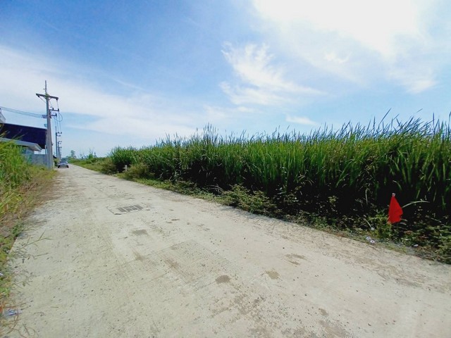 ประกาศฟรี! ซื้อ-ขาย-เช่า คอนโด บ้าน ทาวน์โฮม ที่ดิน และพื้นที่เชิงพาณิชย์ทั่วประเทศไทย ทุกทำเล ทุกงบประมาณ ไม่มีค่าใช้จ่าย ลงง่าย ขายไว เข้าถึงผู้ซื้อโดยตรง 5 508411pic4.jpg