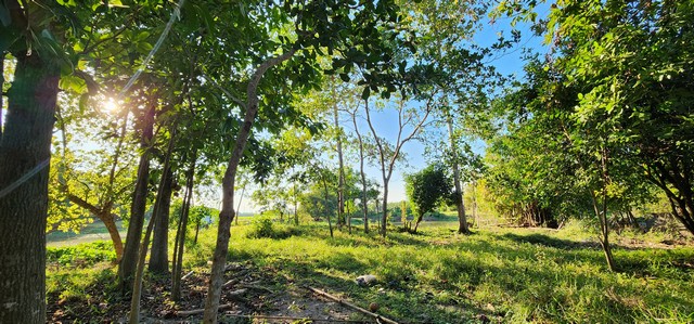 ประกาศฟรี! ซื้อ-ขาย-เช่า คอนโด บ้าน ทาวน์โฮม ที่ดิน และพื้นที่เชิงพาณิชย์ทั่วประเทศไทย ทุกทำเล ทุกงบประมาณ ไม่มีค่าใช้จ่าย ลงง่าย ขายไว เข้าถึงผู้ซื้อโดยตรง 3 508029pic2.jpg