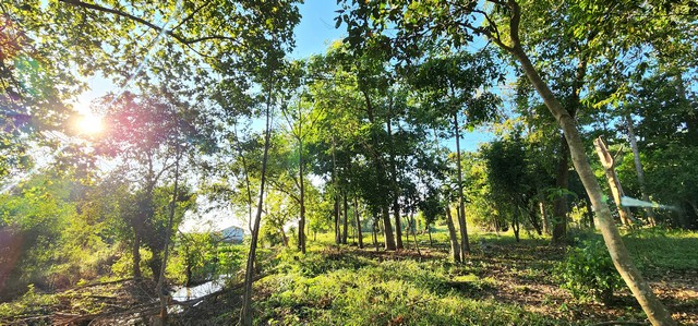 ประกาศฟรี! ซื้อ-ขาย-เช่า คอนโด บ้าน ทาวน์โฮม ที่ดิน และพื้นที่เชิงพาณิชย์ทั่วประเทศไทย ทุกทำเล ทุกงบประมาณ ไม่มีค่าใช้จ่าย ลงง่าย ขายไว เข้าถึงผู้ซื้อโดยตรง 5 508029pic4.jpg