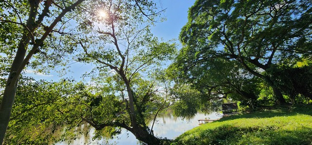 ประกาศฟรี! ซื้อ-ขาย-เช่า คอนโด บ้าน ทาวน์โฮม ที่ดิน และพื้นที่เชิงพาณิชย์ทั่วประเทศไทย ทุกทำเล ทุกงบประมาณ ไม่มีค่าใช้จ่าย ลงง่าย ขายไว เข้าถึงผู้ซื้อโดยตรง 2 507943pic1.jpg