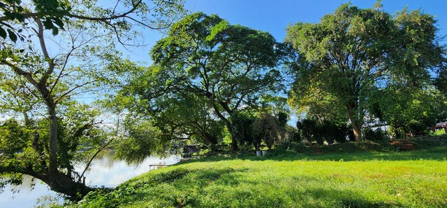 ประกาศฟรี! ซื้อ-ขาย-เช่า คอนโด บ้าน ทาวน์โฮม ที่ดิน และพื้นที่เชิงพาณิชย์ทั่วประเทศไทย ทุกทำเล ทุกงบประมาณ ไม่มีค่าใช้จ่าย ลงง่าย ขายไว เข้าถึงผู้ซื้อโดยตรง 5 507943pic4.jpg