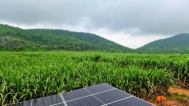 ประกาศฟรี! ซื้อ-ขาย-เช่า คอนโด บ้าน ทาวน์โฮม ที่ดิน และพื้นที่เชิงพาณิชย์ทั่วประเทศไทย ทุกทำเล ทุกงบประมาณ ไม่มีค่าใช้จ่าย ลงง่าย ขายไว เข้าถึงผู้ซื้อโดยตรง 4 507866pic3.jpg