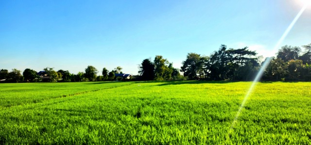 ประกาศฟรี! ซื้อ-ขาย-เช่า คอนโด บ้าน ทาวน์โฮม ที่ดิน และพื้นที่เชิงพาณิชย์ทั่วประเทศไทย ทุกทำเล ทุกงบประมาณ ไม่มีค่าใช้จ่าย ลงง่าย ขายไว เข้าถึงผู้ซื้อโดยตรง 5 507862pic4.jpg