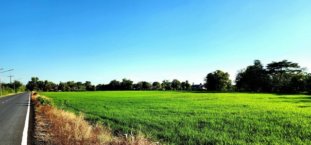 ประกาศฟรี! ซื้อ-ขาย-เช่า คอนโด บ้าน ทาวน์โฮม ที่ดิน และพื้นที่เชิงพาณิชย์ทั่วประเทศไทย ทุกทำเล ทุกงบประมาณ ไม่มีค่าใช้จ่าย ลงง่าย ขายไว เข้าถึงผู้ซื้อโดยตรง 3 507861pic2.jpg