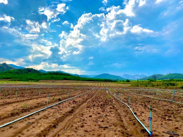 ประกาศฟรี! ซื้อ-ขาย-เช่า คอนโด บ้าน ทาวน์โฮม ที่ดิน และพื้นที่เชิงพาณิชย์ทั่วประเทศไทย ทุกทำเล ทุกงบประมาณ ไม่มีค่าใช้จ่าย ลงง่าย ขายไว เข้าถึงผู้ซื้อโดยตรง 5 487886pic4.jpg