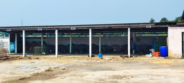 ประกาศฟรี! ซื้อ-ขาย-เช่า คอนโด บ้าน ทาวน์โฮม ที่ดิน และพื้นที่เชิงพาณิชย์ทั่วประเทศไทย ทุกทำเล ทุกงบประมาณ ไม่มีค่าใช้จ่าย ลงง่าย ขายไว เข้าถึงผู้ซื้อโดยตรง 3 261028pic2.jpg