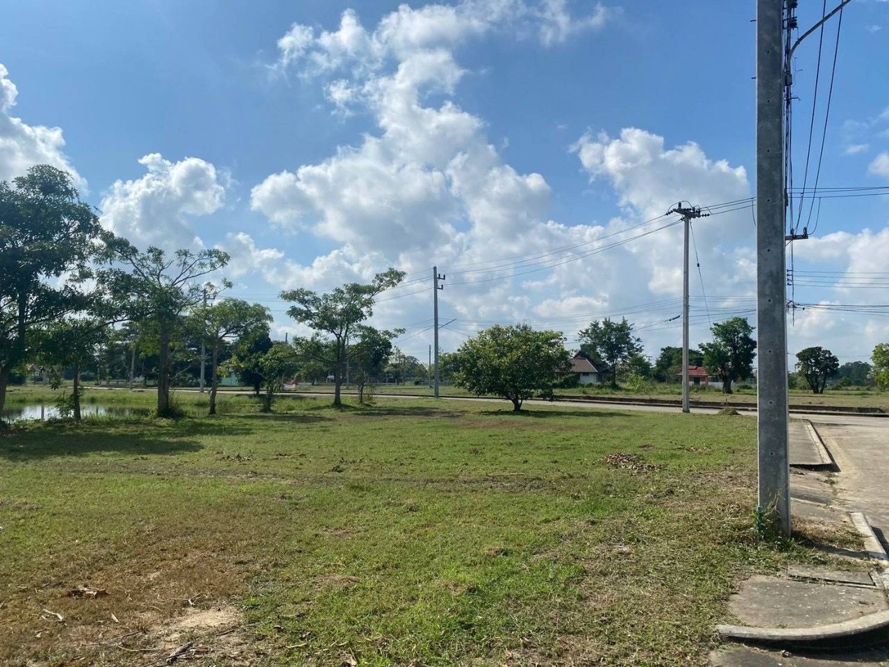 ประกาศฟรี! ซื้อ-ขาย-เช่า คอนโด บ้าน ทาวน์โฮม ที่ดิน และพื้นที่เชิงพาณิชย์ทั่วประเทศไทย ทุกทำเล ทุกงบประมาณ ไม่มีค่าใช้จ่าย ลงง่าย ขายไว เข้าถึงผู้ซื้อโดยตรง 2 318790pic1.jpg