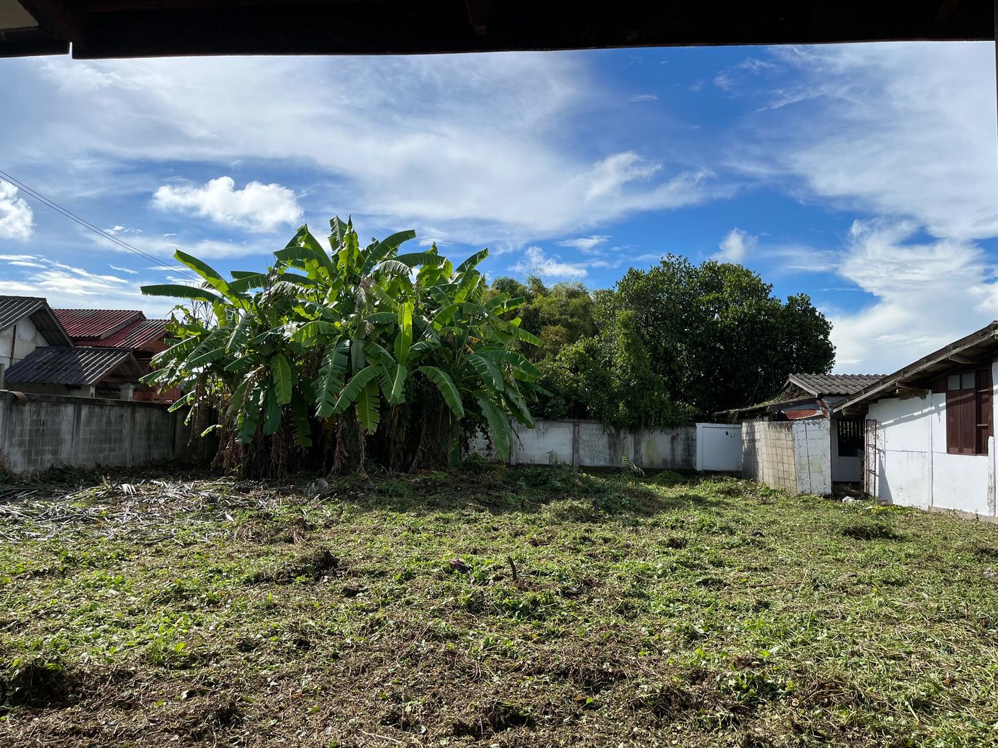 ประกาศฟรี! ซื้อ-ขาย-เช่า คอนโด บ้าน ทาวน์โฮม ที่ดิน และพื้นที่เชิงพาณิชย์ทั่วประเทศไทย ทุกทำเล ทุกงบประมาณ ไม่มีค่าใช้จ่าย ลงง่าย ขายไว เข้าถึงผู้ซื้อโดยตรง 2 318777pic1.jpg