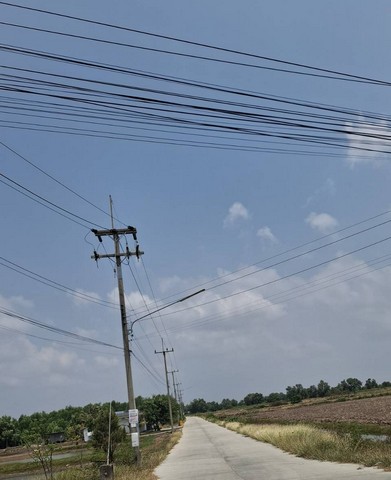 ประกาศฟรี! ซื้อ-ขาย-เช่า คอนโด บ้าน ทาวน์โฮม ที่ดิน และพื้นที่เชิงพาณิชย์ทั่วประเทศไทย ทุกทำเล ทุกงบประมาณ ไม่มีค่าใช้จ่าย ลงง่าย ขายไว เข้าถึงผู้ซื้อโดยตรง 3 259732pic2.jpg