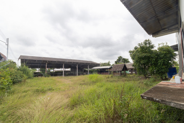 ประกาศฟรี! ซื้อ-ขาย-เช่า คอนโด บ้าน ทาวน์โฮม ที่ดิน และพื้นที่เชิงพาณิชย์ทั่วประเทศไทย ทุกทำเล ทุกงบประมาณ ไม่มีค่าใช้จ่าย ลงง่าย ขายไว เข้าถึงผู้ซื้อโดยตรง 4 502204pic3.jpg