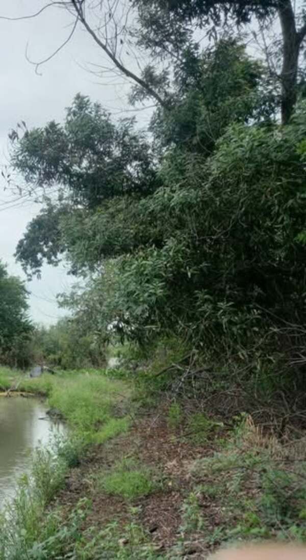 ประกาศฟรี! ซื้อ-ขาย-เช่า คอนโด บ้าน ทาวน์โฮม ที่ดิน และพื้นที่เชิงพาณิชย์ทั่วประเทศไทย ทุกทำเล ทุกงบประมาณ ไม่มีค่าใช้จ่าย ลงง่าย ขายไว เข้าถึงผู้ซื้อโดยตรง 2 500629pic1.jpg