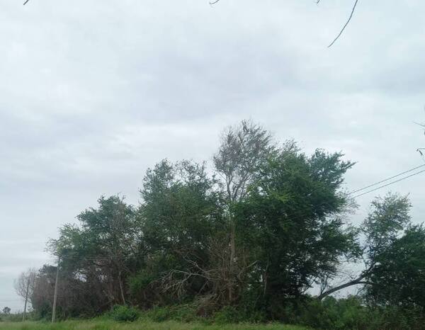 ประกาศฟรี! ซื้อ-ขาย-เช่า คอนโด บ้าน ทาวน์โฮม ที่ดิน และพื้นที่เชิงพาณิชย์ทั่วประเทศไทย ทุกทำเล ทุกงบประมาณ ไม่มีค่าใช้จ่าย ลงง่าย ขายไว เข้าถึงผู้ซื้อโดยตรง 3 500629pic2.jpg