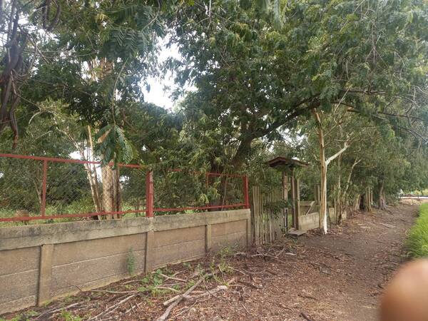 ประกาศฟรี! ซื้อ-ขาย-เช่า คอนโด บ้าน ทาวน์โฮม ที่ดิน และพื้นที่เชิงพาณิชย์ทั่วประเทศไทย ทุกทำเล ทุกงบประมาณ ไม่มีค่าใช้จ่าย ลงง่าย ขายไว เข้าถึงผู้ซื้อโดยตรง 4 500629pic3.jpg