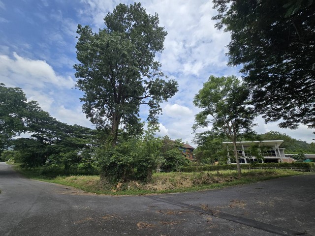 ประกาศฟรี! ซื้อ-ขาย-เช่า คอนโด บ้าน ทาวน์โฮม ที่ดิน และพื้นที่เชิงพาณิชย์ทั่วประเทศไทย ทุกทำเล ทุกงบประมาณ ไม่มีค่าใช้จ่าย ลงง่าย ขายไว เข้าถึงผู้ซื้อโดยตรง 2 481023pic1.jpg