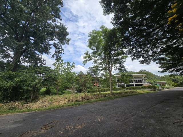 ประกาศฟรี! ซื้อ-ขาย-เช่า คอนโด บ้าน ทาวน์โฮม ที่ดิน และพื้นที่เชิงพาณิชย์ทั่วประเทศไทย ทุกทำเล ทุกงบประมาณ ไม่มีค่าใช้จ่าย ลงง่าย ขายไว เข้าถึงผู้ซื้อโดยตรง 3 481023pic2.jpg