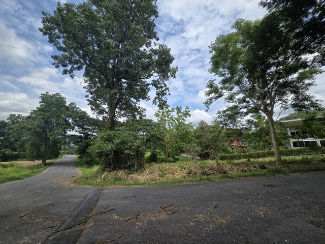 ประกาศฟรี! ซื้อ-ขาย-เช่า คอนโด บ้าน ทาวน์โฮม ที่ดิน และพื้นที่เชิงพาณิชย์ทั่วประเทศไทย ทุกทำเล ทุกงบประมาณ ไม่มีค่าใช้จ่าย ลงง่าย ขายไว เข้าถึงผู้ซื้อโดยตรง 4 481023pic3.jpg