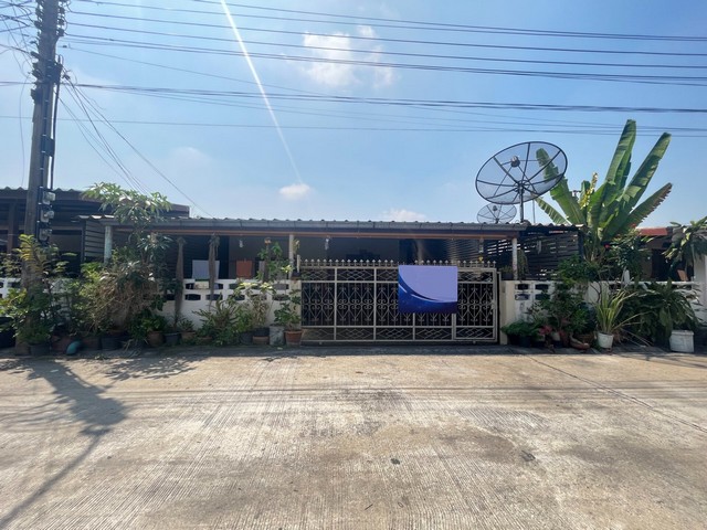 ประกาศฟรี! ซื้อ-ขาย-เช่า คอนโด บ้าน ทาวน์โฮม ที่ดิน และพื้นที่เชิงพาณิชย์ทั่วประเทศไทย ทุกทำเล ทุกงบประมาณ ไม่มีค่าใช้จ่าย ลงง่าย ขายไว เข้าถึงผู้ซื้อโดยตรง 2 262680pic1.jpg