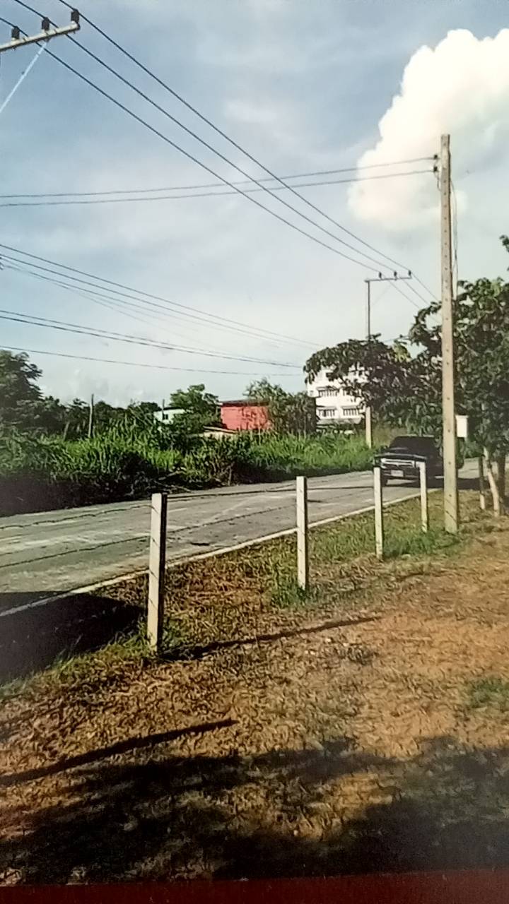 ประกาศฟรี! ซื้อ-ขาย-เช่า คอนโด บ้าน ทาวน์โฮม ที่ดิน และพื้นที่เชิงพาณิชย์ทั่วประเทศไทย ทุกทำเล ทุกงบประมาณ ไม่มีค่าใช้จ่าย ลงง่าย ขายไว เข้าถึงผู้ซื้อโดยตรง 3 165926pic2.jpg