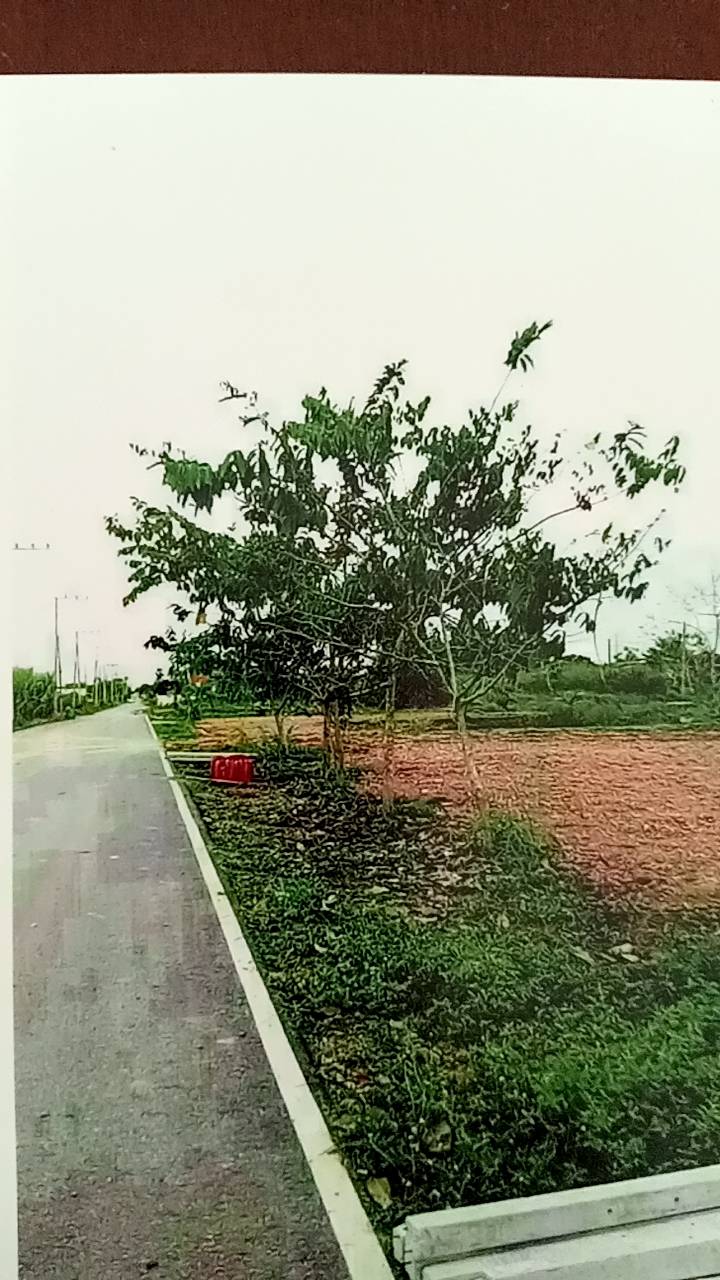 ประกาศฟรี! ซื้อ-ขาย-เช่า คอนโด บ้าน ทาวน์โฮม ที่ดิน และพื้นที่เชิงพาณิชย์ทั่วประเทศไทย ทุกทำเล ทุกงบประมาณ ไม่มีค่าใช้จ่าย ลงง่าย ขายไว เข้าถึงผู้ซื้อโดยตรง 4 165926pic3.jpg