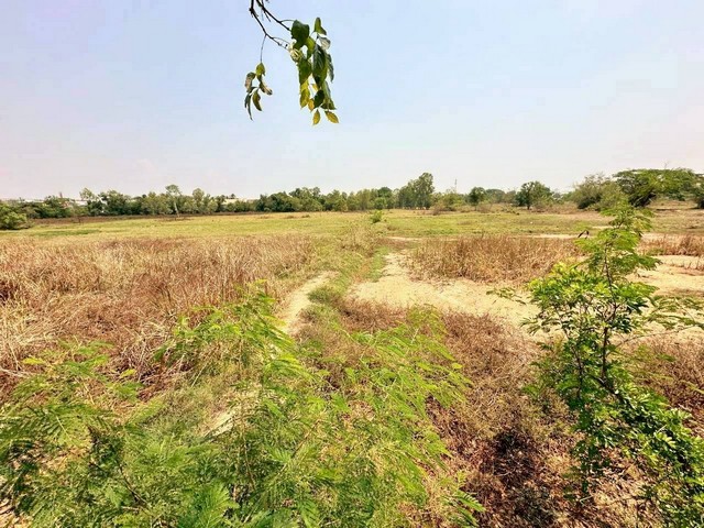 ประกาศฟรี! ซื้อ-ขาย-เช่า คอนโด บ้าน ทาวน์โฮม ที่ดิน และพื้นที่เชิงพาณิชย์ทั่วประเทศไทย ทุกทำเล ทุกงบประมาณ ไม่มีค่าใช้จ่าย ลงง่าย ขายไว เข้าถึงผู้ซื้อโดยตรง 2 318902pic1.jpg