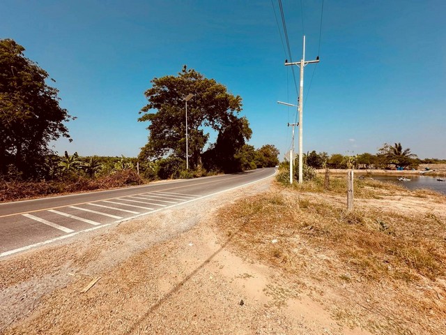 ประกาศฟรี! ซื้อ-ขาย-เช่า คอนโด บ้าน ทาวน์โฮม ที่ดิน และพื้นที่เชิงพาณิชย์ทั่วประเทศไทย ทุกทำเล ทุกงบประมาณ ไม่มีค่าใช้จ่าย ลงง่าย ขายไว เข้าถึงผู้ซื้อโดยตรง 2 318899pic1.jpg