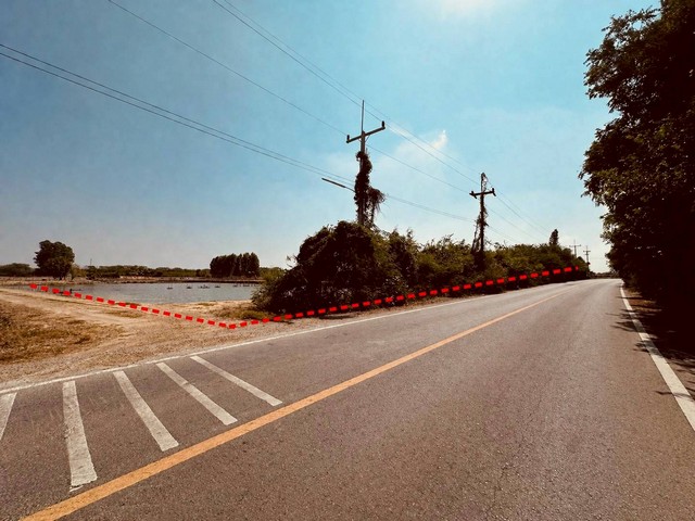 ประกาศฟรี! ซื้อ-ขาย-เช่า คอนโด บ้าน ทาวน์โฮม ที่ดิน และพื้นที่เชิงพาณิชย์ทั่วประเทศไทย ทุกทำเล ทุกงบประมาณ ไม่มีค่าใช้จ่าย ลงง่าย ขายไว เข้าถึงผู้ซื้อโดยตรง 4 318899pic3.jpg