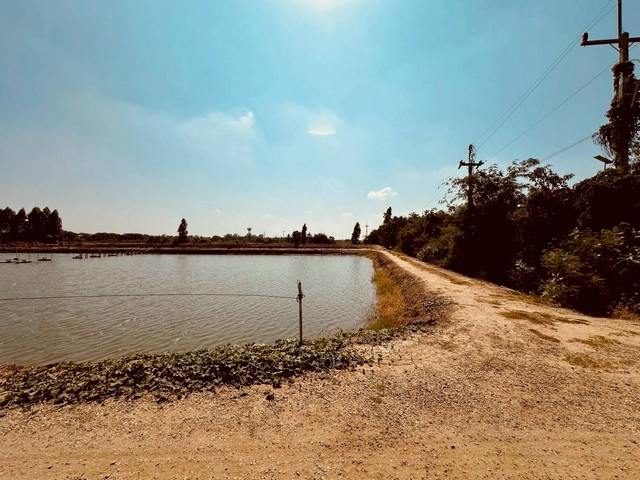 ประกาศฟรี! ซื้อ-ขาย-เช่า คอนโด บ้าน ทาวน์โฮม ที่ดิน และพื้นที่เชิงพาณิชย์ทั่วประเทศไทย ทุกทำเล ทุกงบประมาณ ไม่มีค่าใช้จ่าย ลงง่าย ขายไว เข้าถึงผู้ซื้อโดยตรง 5 318899pic4.jpg