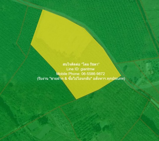 ประกาศฟรี! ซื้อ-ขาย-เช่า คอนโด บ้าน ทาวน์โฮม ที่ดิน และพื้นที่เชิงพาณิชย์ทั่วประเทศไทย ทุกทำเล ทุกงบประมาณ ไม่มีค่าใช้จ่าย ลงง่าย ขายไว เข้าถึงผู้ซื้อโดยตรง 2 318476pic1.jpg