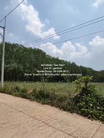 ประกาศฟรี! ซื้อ-ขาย-เช่า คอนโด บ้าน ทาวน์โฮม ที่ดิน และพื้นที่เชิงพาณิชย์ทั่วประเทศไทย ทุกทำเล ทุกงบประมาณ ไม่มีค่าใช้จ่าย ลงง่าย ขายไว เข้าถึงผู้ซื้อโดยตรง 3 318476pic2.jpg