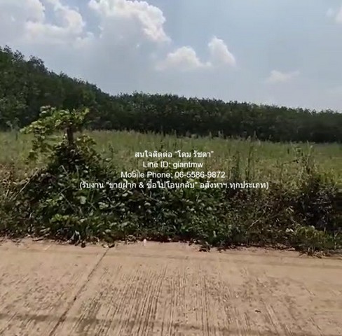 ประกาศฟรี! ซื้อ-ขาย-เช่า คอนโด บ้าน ทาวน์โฮม ที่ดิน และพื้นที่เชิงพาณิชย์ทั่วประเทศไทย ทุกทำเล ทุกงบประมาณ ไม่มีค่าใช้จ่าย ลงง่าย ขายไว เข้าถึงผู้ซื้อโดยตรง 4 318476pic3.jpg