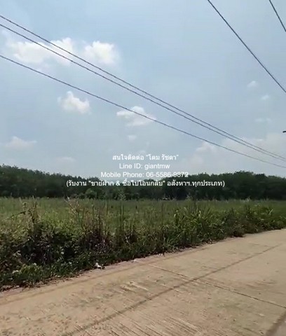 ประกาศฟรี! ซื้อ-ขาย-เช่า คอนโด บ้าน ทาวน์โฮม ที่ดิน และพื้นที่เชิงพาณิชย์ทั่วประเทศไทย ทุกทำเล ทุกงบประมาณ ไม่มีค่าใช้จ่าย ลงง่าย ขายไว เข้าถึงผู้ซื้อโดยตรง 5 318476pic4.jpg