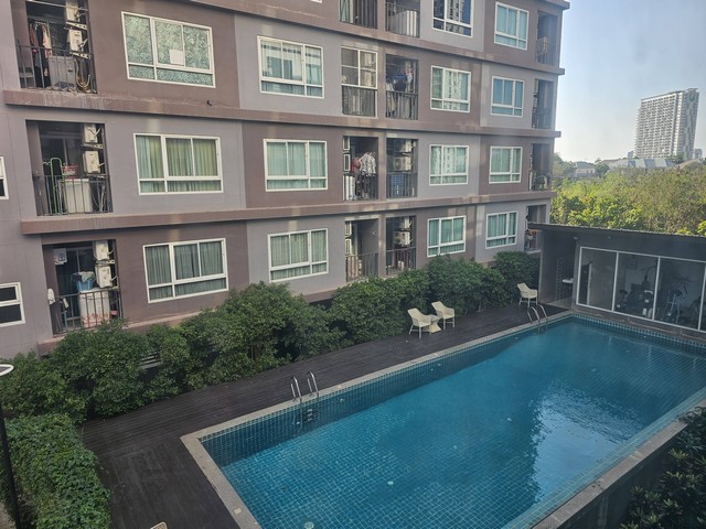 ประกาศฟรี! ซื้อ-ขาย-เช่า คอนโด บ้าน ทาวน์โฮม ที่ดิน และพื้นที่เชิงพาณิชย์ทั่วประเทศไทย ทุกทำเล ทุกงบประมาณ ไม่มีค่าใช้จ่าย ลงง่าย ขายไว เข้าถึงผู้ซื้อโดยตรง 2 318915pic1.jpg