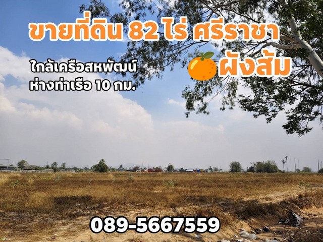 ประกาศฟรี! ซื้อ-ขาย-เช่า คอนโด บ้าน ทาวน์โฮม ที่ดิน และพื้นที่เชิงพาณิชย์ทั่วประเทศไทย ทุกทำเล ทุกงบประมาณ ไม่มีค่าใช้จ่าย ลงง่าย ขายไว เข้าถึงผู้ซื้อโดยตรง 2 262864pic1.jpg