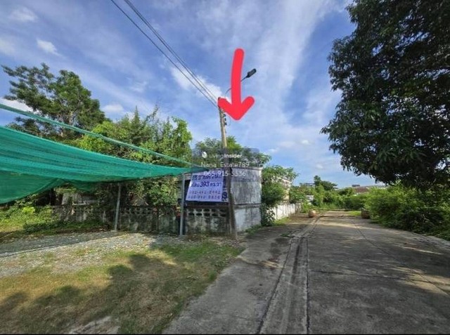 ประกาศฟรี! ซื้อ-ขาย-เช่า คอนโด บ้าน ทาวน์โฮม ที่ดิน และพื้นที่เชิงพาณิชย์ทั่วประเทศไทย ทุกทำเล ทุกงบประมาณ ไม่มีค่าใช้จ่าย ลงง่าย ขายไว เข้าถึงผู้ซื้อโดยตรง 4 263526pic3.jpg