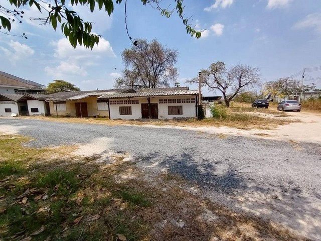 ประกาศฟรี! ซื้อ-ขาย-เช่า คอนโด บ้าน ทาวน์โฮม ที่ดิน และพื้นที่เชิงพาณิชย์ทั่วประเทศไทย ทุกทำเล ทุกงบประมาณ ไม่มีค่าใช้จ่าย ลงง่าย ขายไว เข้าถึงผู้ซื้อโดยตรง 5 319019pic4.jpg