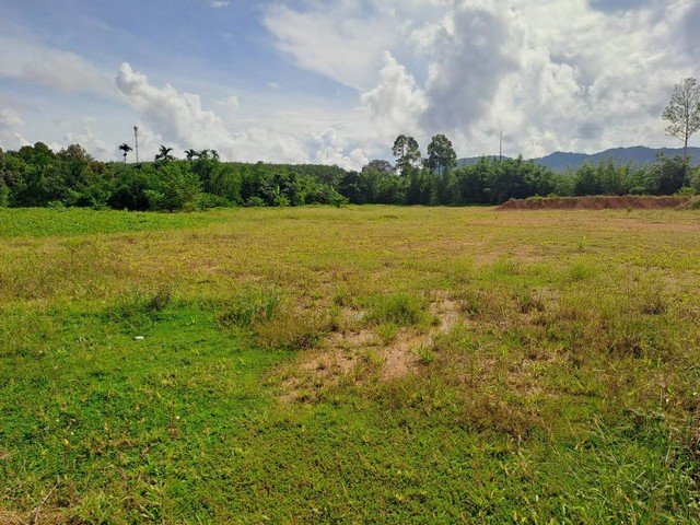 ประกาศฟรี! ซื้อ-ขาย-เช่า คอนโด บ้าน ทาวน์โฮม ที่ดิน และพื้นที่เชิงพาณิชย์ทั่วประเทศไทย ทุกทำเล ทุกงบประมาณ ไม่มีค่าใช้จ่าย ลงง่าย ขายไว เข้าถึงผู้ซื้อโดยตรง 2 263558pic1.jpg