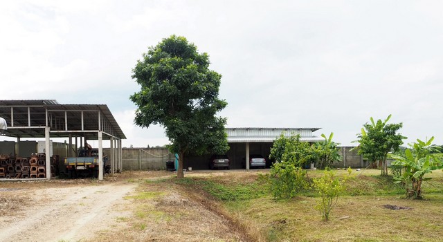 ประกาศฟรี! ซื้อ-ขาย-เช่า คอนโด บ้าน ทาวน์โฮม ที่ดิน และพื้นที่เชิงพาณิชย์ทั่วประเทศไทย ทุกทำเล ทุกงบประมาณ ไม่มีค่าใช้จ่าย ลงง่าย ขายไว เข้าถึงผู้ซื้อโดยตรง 3 263597pic2.jpg