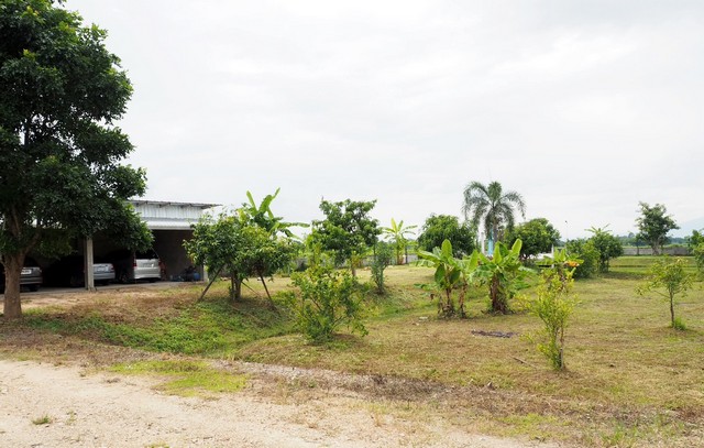 ประกาศฟรี! ซื้อ-ขาย-เช่า คอนโด บ้าน ทาวน์โฮม ที่ดิน และพื้นที่เชิงพาณิชย์ทั่วประเทศไทย ทุกทำเล ทุกงบประมาณ ไม่มีค่าใช้จ่าย ลงง่าย ขายไว เข้าถึงผู้ซื้อโดยตรง 4 263597pic3.jpg