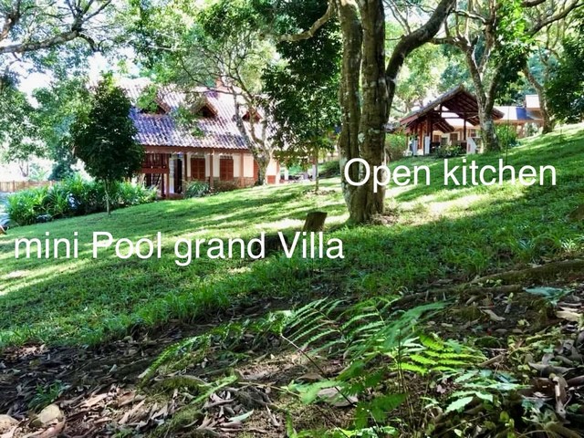 ประกาศฟรี! ซื้อ-ขาย-เช่า คอนโด บ้าน ทาวน์โฮม ที่ดิน และพื้นที่เชิงพาณิชย์ทั่วประเทศไทย ทุกทำเล ทุกงบประมาณ ไม่มีค่าใช้จ่าย ลงง่าย ขายไว เข้าถึงผู้ซื้อโดยตรง 2 263596pic1.jpg