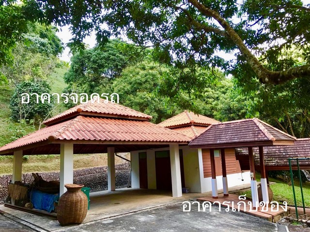 ประกาศฟรี! ซื้อ-ขาย-เช่า คอนโด บ้าน ทาวน์โฮม ที่ดิน และพื้นที่เชิงพาณิชย์ทั่วประเทศไทย ทุกทำเล ทุกงบประมาณ ไม่มีค่าใช้จ่าย ลงง่าย ขายไว เข้าถึงผู้ซื้อโดยตรง 3 263596pic2.jpg