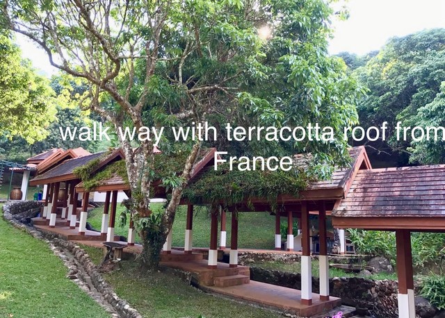 ประกาศฟรี! ซื้อ-ขาย-เช่า คอนโด บ้าน ทาวน์โฮม ที่ดิน และพื้นที่เชิงพาณิชย์ทั่วประเทศไทย ทุกทำเล ทุกงบประมาณ ไม่มีค่าใช้จ่าย ลงง่าย ขายไว เข้าถึงผู้ซื้อโดยตรง 4 263596pic3.jpg