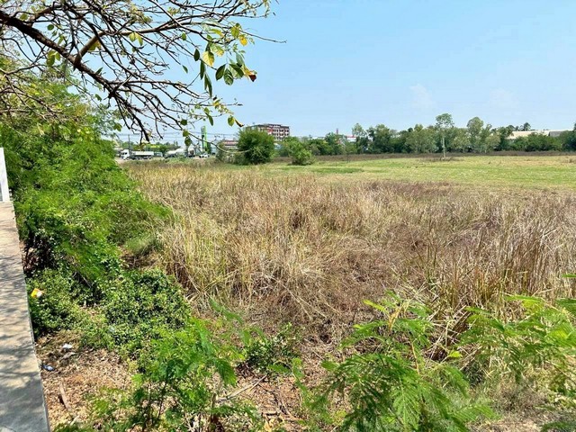 ประกาศฟรี! ซื้อ-ขาย-เช่า คอนโด บ้าน ทาวน์โฮม ที่ดิน และพื้นที่เชิงพาณิชย์ทั่วประเทศไทย ทุกทำเล ทุกงบประมาณ ไม่มีค่าใช้จ่าย ลงง่าย ขายไว เข้าถึงผู้ซื้อโดยตรง 4 263566pic3.jpg