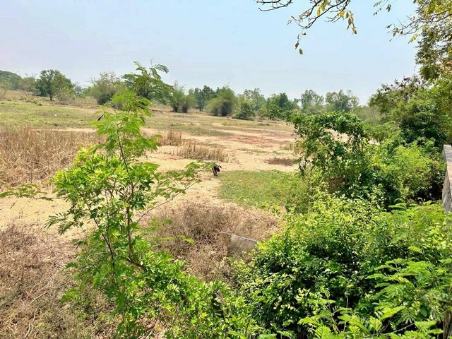 ประกาศฟรี! ซื้อ-ขาย-เช่า คอนโด บ้าน ทาวน์โฮม ที่ดิน และพื้นที่เชิงพาณิชย์ทั่วประเทศไทย ทุกทำเล ทุกงบประมาณ ไม่มีค่าใช้จ่าย ลงง่าย ขายไว เข้าถึงผู้ซื้อโดยตรง 5 263566pic4.jpg